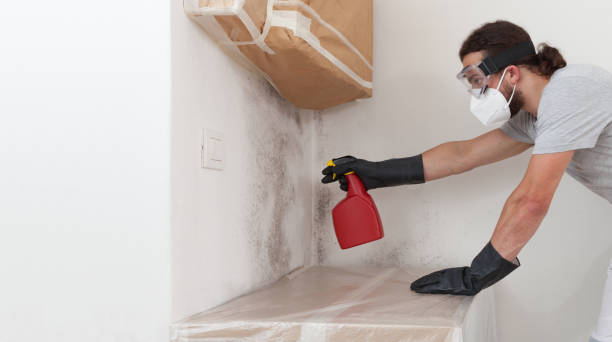 Professional Crawl Space Mold Removal technician working in Cooksville, MD
