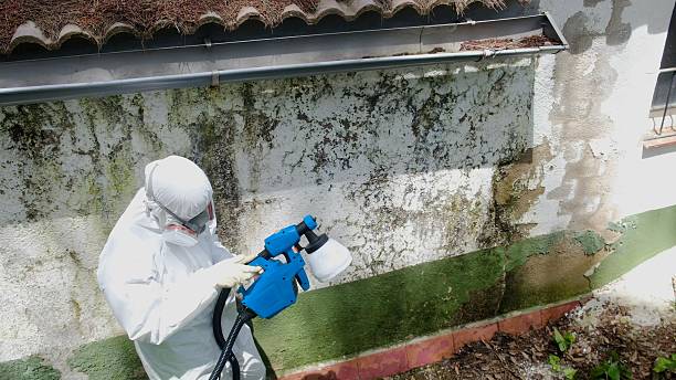Trusted Crawl Space Mold Removal service in Cooksville, MD - Cheap Mold Removal